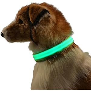 Wasserdicht LED-Haustier-Hundehalsband LED USB aufladbare Haustier-Sicherheits-Kragen Hundehalsband Hundehals Gürtel
