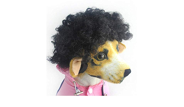 afro wig for dogs