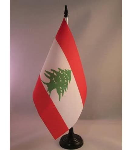 Petit Drapeau Drapeau De Table Du Conseil Du00e9partemental Du Finistu00e8re 10x15 Cm Drapeau Francais Avec Hampe