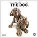The Dog 2013. Artlist Collection. Broschürenkalender by