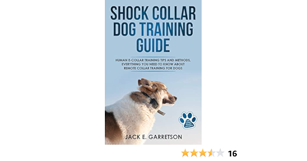 human shock collar training