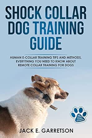 amazon prime dog training collars