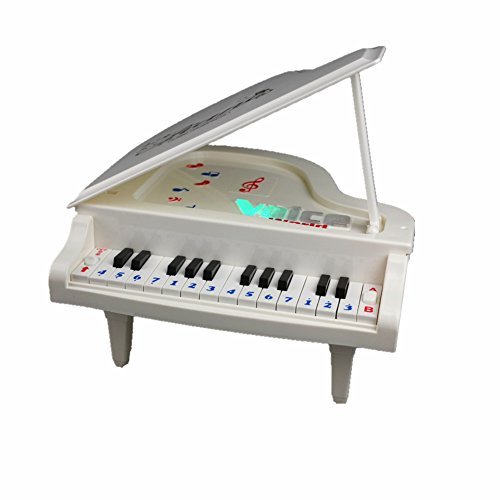 Fajiabao Best Birthday Gift Electronic 14 Keys Little Educational Piano Music Keyboard Game Toy Set with Light and Song for Children Boys Girls Kids Musical Early Learning
