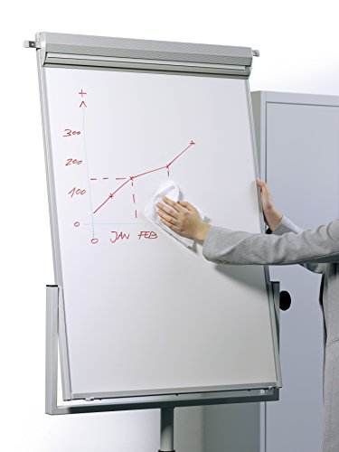 Durable Whiteboard Fluid - L  quido para la limpieza de las pizarras blancas