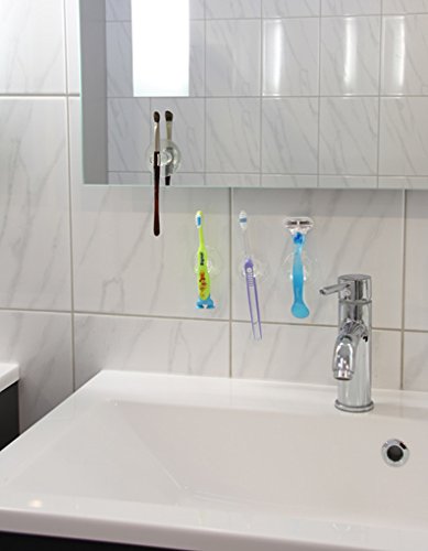 Fackelmann 61167 Universal Saughalter, 2-er Pack (farblich sortiert) - 2