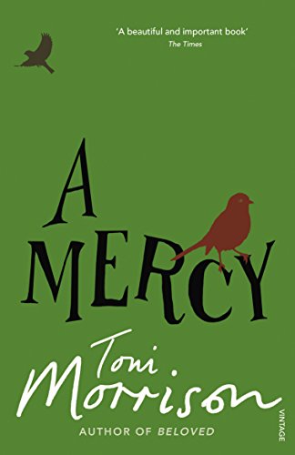 A Mercy (English Edition) livre