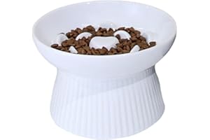 Koomuao Gamelle Chat Surélevée Ceramique, Gamelle Anti Glouton Chats/Petit Chien, Gamelle d'alimentation Lente Slow Feeder pour Chat Bol de Nourriture pour Chat-300ml (Blanc)
