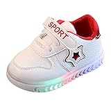 turnschuhe damen lauflernschuhe schuhe kaufen arbeitsschuhe damen stiefel mokassins babykleidung krabbelschuhe schuhe hausschuhe kinder krabbelschuhe winterschuhe herren schuhe cowboystiefel mokassins boots damen kinderschuhe herrenschuhe kinderschuhe wanderschuhe herren schuhe stiefel sportschuhe damen markenschuhe schuhe winterschuhe damen schuhe schuhe schuhgeschäft ballerinas schnürsenkel lauflernschuhe damen schuhe gummistiefel badeschuhe schuhgeschäft winterschuhe