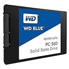 WD Blue 250GB Internal Solid State Drive (WDS250G1B0A)