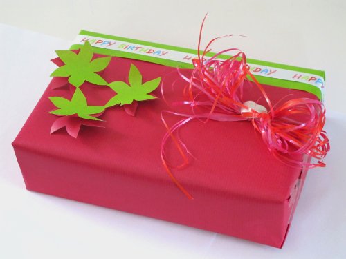 Susy Card 11274602 Packpapier, beidseitig bedruck, 2 m, pink/grün - 2