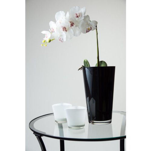 Konische Vase SALLY aus Glas, schwarz, 22 cm, Ø 13 cm – Blumenvase / Tischvase – INNA Glas - 4