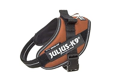 JULIUS-K9 Harnais Power IDC - Mini - M : 49-67 cm-22 mm - Orange cuivré - Pour chien