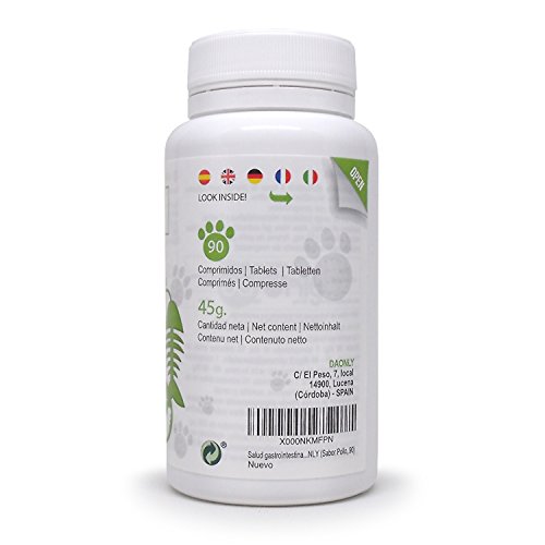 Aloe-vera-por-dogs-pet-care-gastrointestinal-dog-food-dog-stomach-problems-gastrointestinal-cat-food-cats-care-digestive-problems-in-dogs-dog-stomach-ache-aloe-vera-for-pets-aloe-vera-dogs-DAONLY