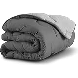 IDMarket Couette 220x240 Cm AELA Plume D'Oie Anti-Acarien 500g/m² + 2 Oreillers 60x60 Cm - Douceur Et Chaleur Naturelle