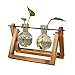 Produktbild Leobtain Birnen Vase mit Vintage Holzständer und Rotierendem Metallstab für die Hydrokultur Pflanzen Desktop Glass Planter für das Zuhause Büro Schule Innen Dekoration