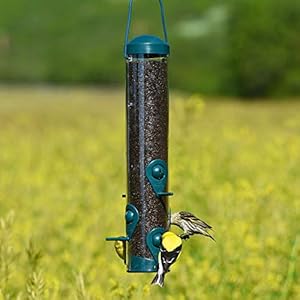 Perky-Pet 3261 Mangiatoia Sierra per Uccelli Selvatici e Passerotti