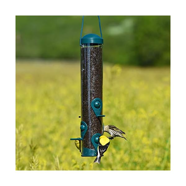 Perky-Pet 3261 Mangiatoia Sierra per Uccelli Selvatici e Passerotti