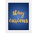 Tiedribbons® Stay Curious Framed Poster(13.6 Inch X 10.2 Inch) RS.379.00