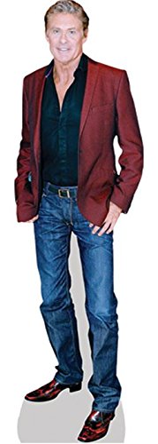 Preisvergleich Produktbild David Hasselhoff (Jacket) Mini Cutout
