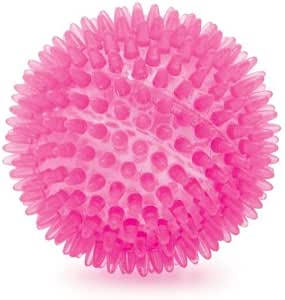 large spiky dog ball