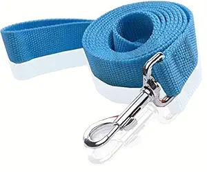 SALO Durable Nylon Dog Leash 16 Feet Long, Walking Training Dog Leashes Medium Large Dogs, 1 Inch Wide (Blue)