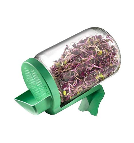 Germline – Germinador Tarro