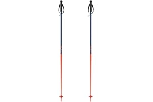Fischer OneWay GT18 Flame/Vapor All Mountain Alpine Ski Poles Aluminium