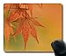 Produktbild Maus Pad – Japanischer Ahorn Blätter fallen Farben Langlebig Office Zubehör Desktop Laptop Mousepad und Geschenke Gaming Maus Pads