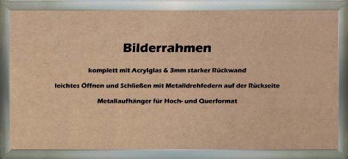 Bilderrahmen Alu gebürstet (Valencia) 70X90cm - 3