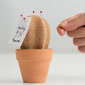 Suck UK Cork Cactus Desktop Organiser/Pinboard with Ceramic Storage Pot and Red Push-pins Included