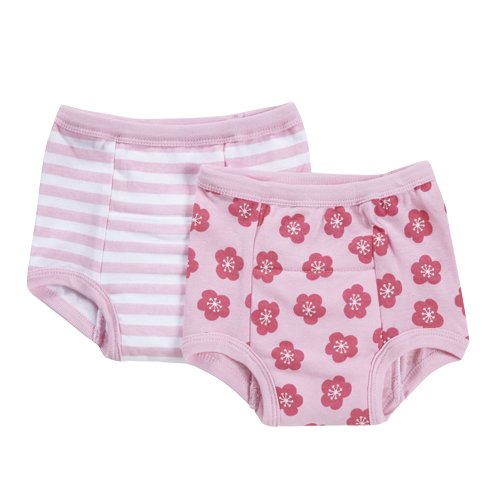 Green sprouts Reusable Organic Training Pants (24 - 36 Months, Pink/Aqua, Pack of 2)