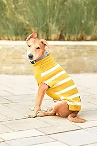 Mutt of Course Warm Regards Mustard Sweater for Dogs (3XL)