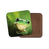 Posavasos de rana verde con respaldo de corcho para bebidas, de DestinationVinyl - Frogs Kids...