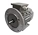 Produktbild Drehstrommotor 0,75 kW - 3000 U/min - B3B5-230/400V - ENERGIESPARMOTOR IE2