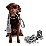 hundeleine halsband PIUPET-VERSPRECHEN: 30 Tage testen - Du kannst alle unsere PIUPET Produkte 30 Tage testen. Falls du mit unserem Halsband für Hunde nicht zu 100% zufrieden bist, kannst du das Hundeleinen Set ganz einfach und problemlos zurückschicken.