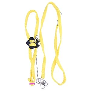 Arnés ajustable para pájaros, correa suave de loro, anillos de entrenamiento de inteligencia, juguete para periquitos de Budgie, amaneces, pájaros, macaw africano, gris Cockatoo jugar entrenamiento