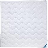 Style Station 100023524 Faser Ganzjahresbett, kochbar 95 Grad, 200 x 200 cm