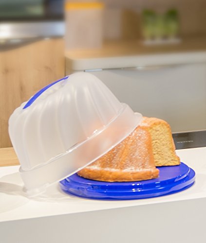 Rotho 1721105070 Gugelhupf-Kuchenbehälter Fresh aus Kunststoff mit sicherem Verschluss und bequemem Tragegriff, circa 30,5 x 28,5 x 17,5 cm, grün / transparent - 5