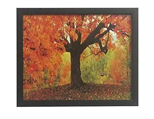 Jagdish Ratan Enterprises Wooden Frame with Glass