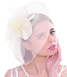 Material: Mesh, Federn FAYBOX BRIDAL Große Feder Frau Fascinator Tupfen Blumen Ineinander Mesh Netz Haar Klipp Hut Derby Cocktail