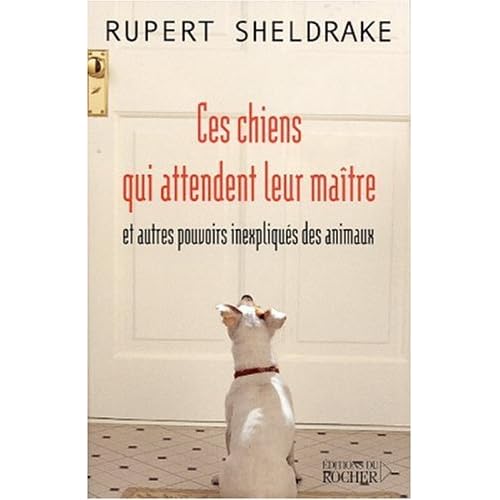 Ces chiens qui attendent leur maître et autres pouvoirs inexpliqués des animaux