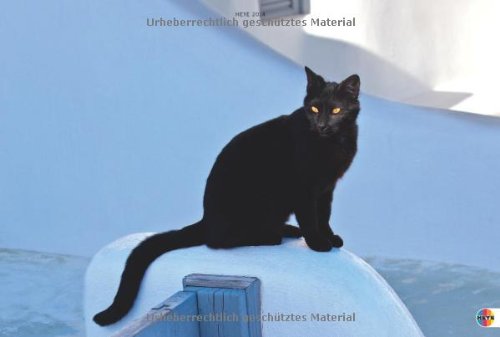 Unter der Sonne des Südens 2014: Mit Zitaten