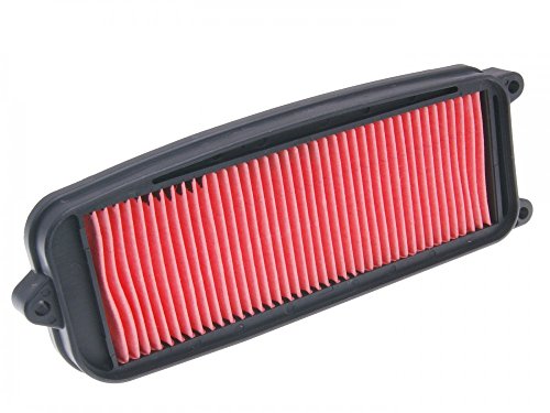 Filtro de Aire para Hyosung GV 125 - 250 CCM Aquila