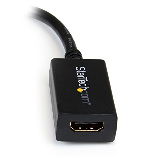 StarTech.com DisplayPort auf HDMI Video Adapter / Konverter (Stecker/Buchse) – DP zu HDMI mit bis zu 1920×1200 – DP / HDMI Länge 25cm - 2