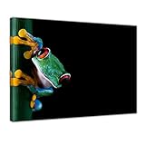 Bilderdepot24 Cuadros en Lienzo'Rana Verde XXL' - 120x90 cm 1 pieza - Enmarcado listo Bastidor...