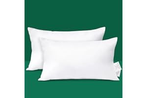 JOTOM Kissenfüllung Sofakissen Formstabil Kissen Dekokissen Zierkissen Kopfkissen Rückenkissen Couchkissen Füllkissen für Wohnzimmer Bett Sofa Outdoor Draußen (30 x 50 cm, 2)