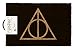 Produktbild Harry Potter-GP85243 Fußmatte, Kokosfaser, 40 x 60 cm, Mehrfarbig