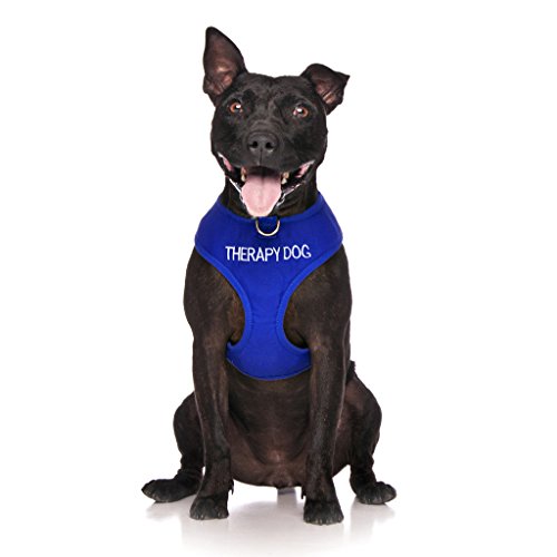 DexilLimited THERAPY DOG Blue Colour Coded Non-Pull Front and Back D Ring  Padded and Waterproof Vest Dog Harness PREVENTS Accidents By Warning Others