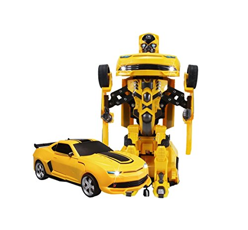 bumble pi robot