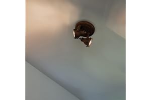 QAZQA Plafón industrial óxido 2-focos - SORRA Metálica Redonda Adecuado para LED Max. 2 x 25 Watt